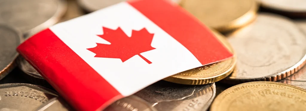 Canada's Missing Assets